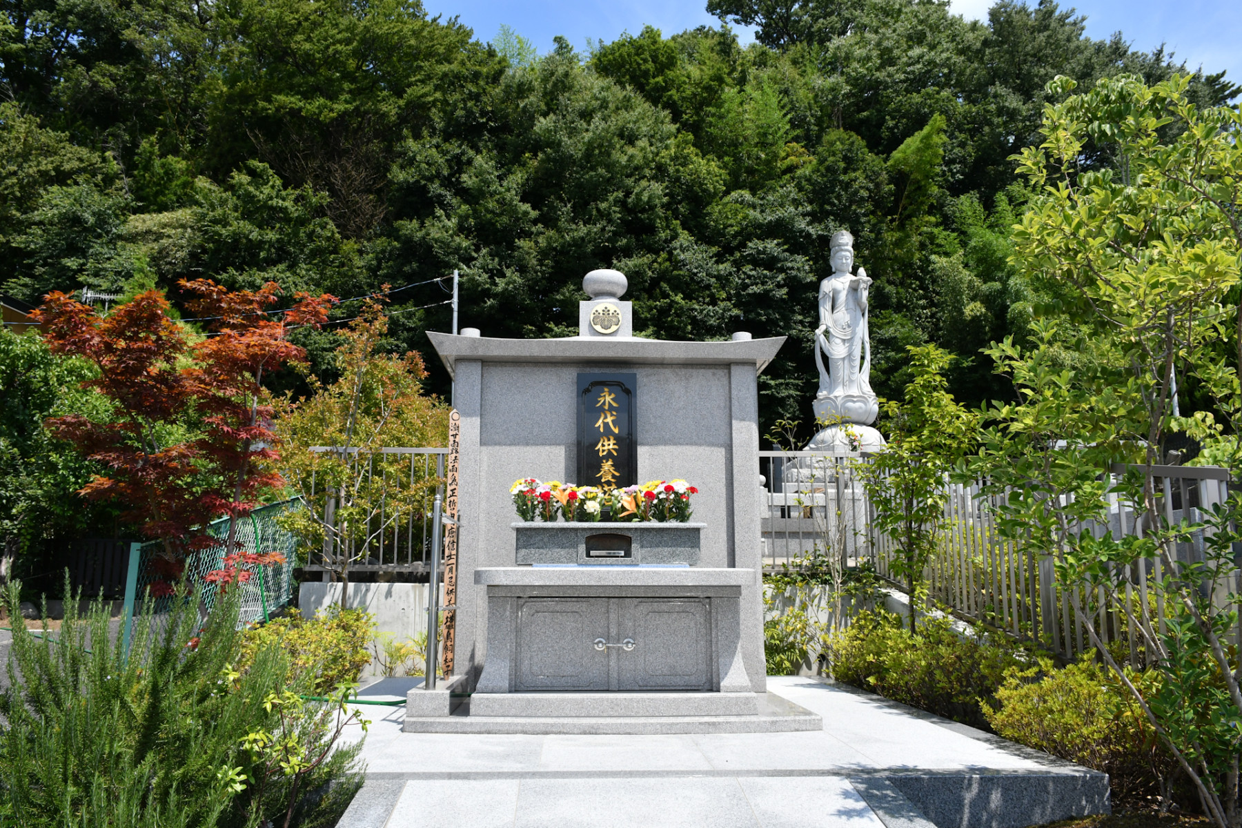 歴史