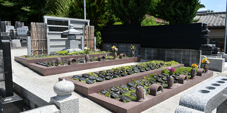 画像：サンプル