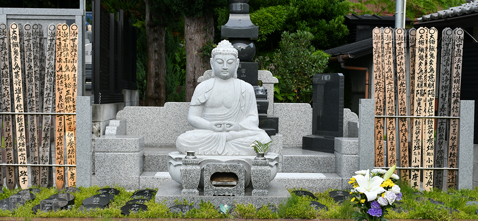 画像：サンプル